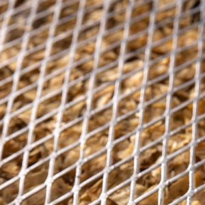 features-ecofriendly-300x300